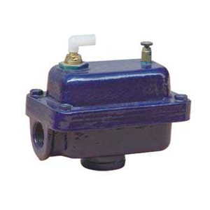 �Ԅ��Ś��y