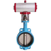 ����{�����y